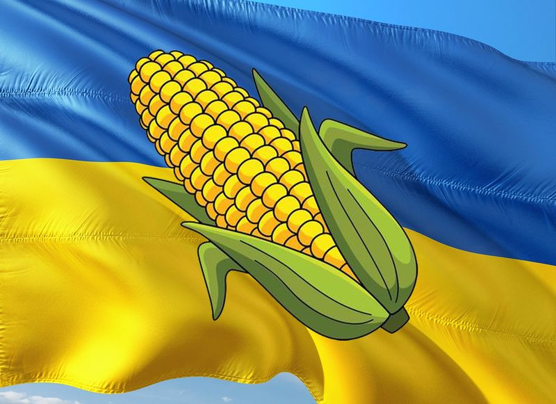الذرة تحتل صدارة السلع الأكثر تصديرا لأوكرانيا في أبريل