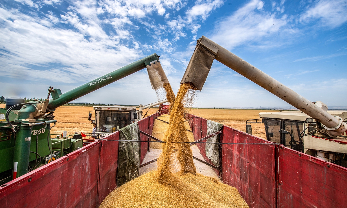 أوكرانيا تتوقع تصدير 55 مليون طن من الحبوب والبذور الزيتية في موسم 2024-2025