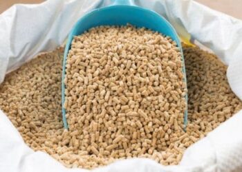 خاص| الحمد للأعلاف: المصانع تؤمن احتياجاتها من الخامات لمدة شهر.. والجميع تعلم الدرس