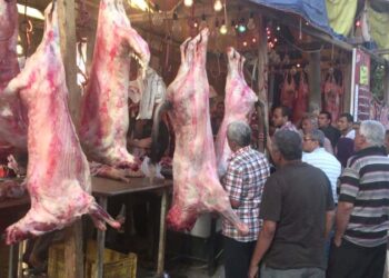 شعبة القصابين: المنافذ والمجمعات الاستهلاكية تطرح لحوم بتخفيضات 40%و إقبالا كثيفا من المواطنين