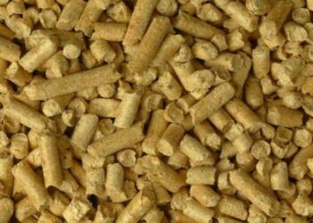 خاص| العامرية للأعلاف: تراجع 500 جنيه في طن العلف خلال الفترة القادمة