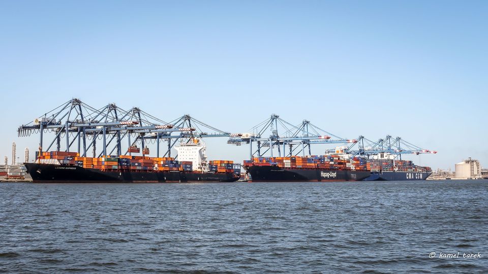 ميناء دمياط يستقبل 7500 طن ذرة و 2500 طن فول صويا