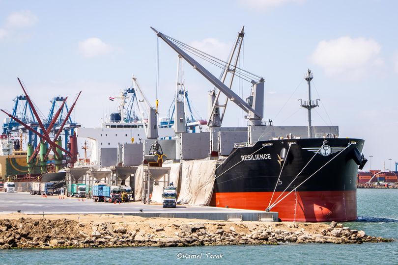 ميناء دمياط يستقبل 10710 طن ذرة و 7620 طن فول صويا