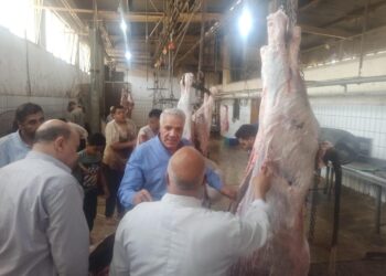 31 ألف أضحية استقبلتهم المجازر خلال أيام عيد الأضحى المبارك