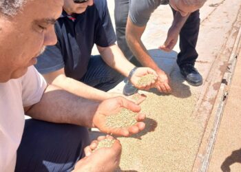 الزراعة تتابع الصادرات والواردات الزراعية في ميناء دمياط