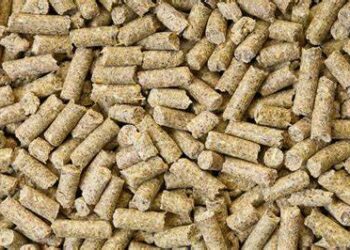 النعماني للأعلاف: الهدوء يخيّم على الأسواق اعتبارا من الأسبوع الجاري