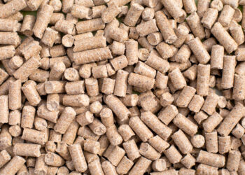 سامي عايد: حالة ترقب فى أسواق الأعلاف لمزيد من الانخفاض