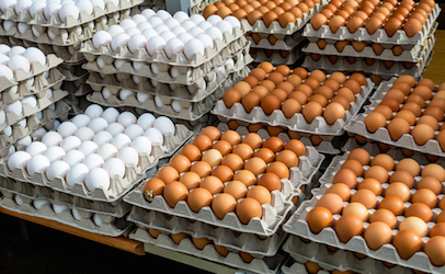 خاص| موزع بيض مائدة: نقص الإنتاج والموجة الحارة الشديدة يدفع أسعار البيض لمستوى 155 جنيه