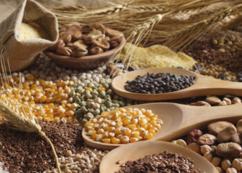 أوكرانيا تصدر 48 مليون 381 ألف طن من الحبوب والبقوليات منذ بداية الموسم