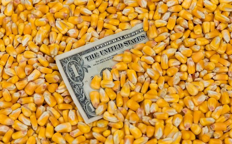 الزراعة الأمريكية تحافظ على توقعاتها لمحصول الذرة في البرازيل والأرجنتين للعام 2023-24