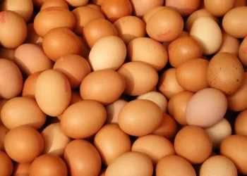 خاص| الصحراوي: الموجة الحارة والمصايف وراء ارتفاع أسعار البيض