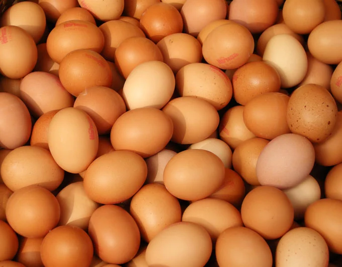 خاص| الصحراوي: الموجة الحارة والمصايف وراء ارتفاع أسعار البيض