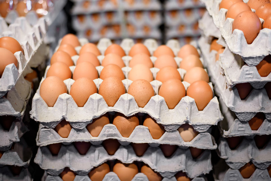 خاص| خبير ببورصة بيض المائدة يكشف أسباب القفزة في الأسعار.. والكرتونة تسجل 153 جنيه بالمزرعة