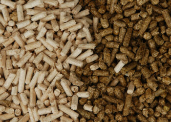 عن ظاهرة موت الأسماك.. سكرتينج إيجيبت: يجب إتباع الإرشادات الصحيحة للإستزراع السمكي