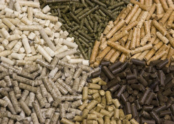 خاص| أكوا جرين: استقرار أسعار أعلاف الأسماك خلال الفترة المقبلة.. ويوليو يحسم موقف السوق الحقيقي