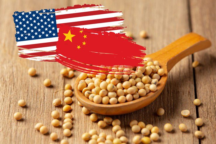 واردات الصين من فول الصويا الأمريكية تتسارع وتسجل زيادة 156٪ في مايو
