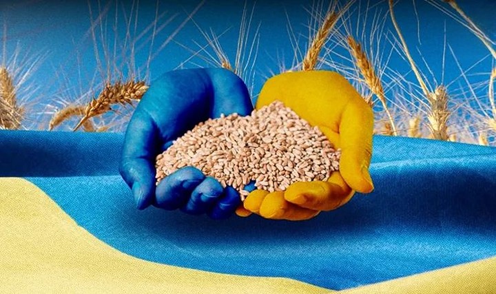 أوكرانيا تصدر ما يقرب من 49 مليون طن من الحبوب منذ بداية الموسم