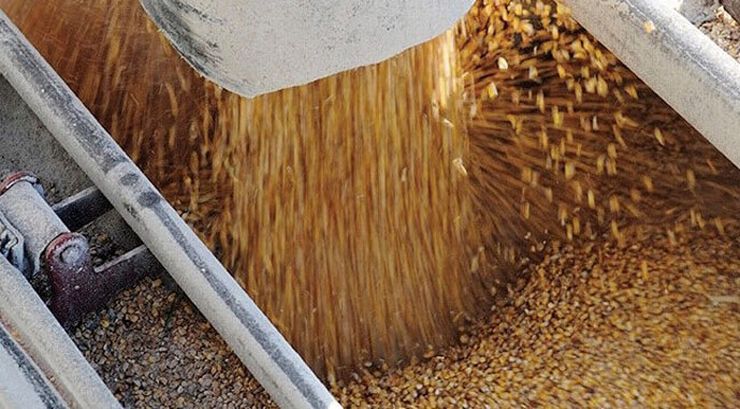 صادرات أوكرانيا من الحبوب تبلغ 1.6 مليون طن خلال الأسبوع الماضي