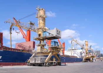ميناء دمياط يستقبل 29537 طن ذرة و 2797 رأس ماشية