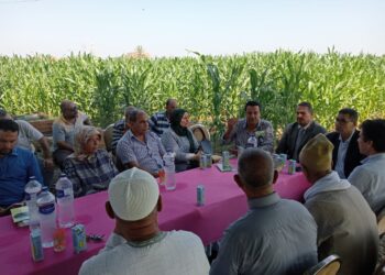زراعة القليوبية تنظم ندوة إرشادية في القليوبية حول الذرة الشامية وتتفقد المحاصيل الصيفية