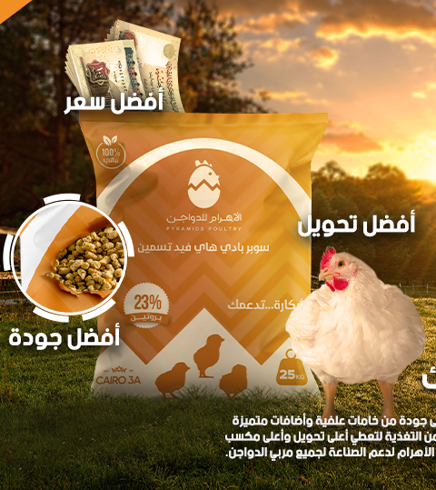 الأهرام للدواجن ، علف الأهرام