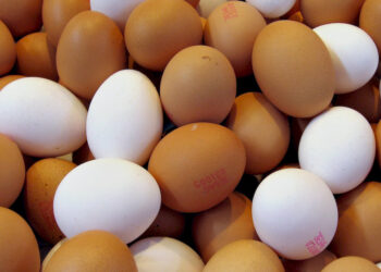 خاص| الصحراوي: زيادة أسعار البيض "غير مبررة" في ظل ارتفاع الأرصدة في المزارع