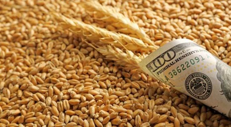 انخفاض الحصاد في روسيا يدعم ارتفاع أسعار القمح في أوكرانيا