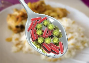 التسمم الغذائي ببكتريا الفيبرو باراهيموليتيكس في الأسماك