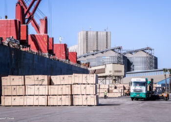 ميناء دمياط يستقبل 4221 طن ذرة و 12104 طن قمح