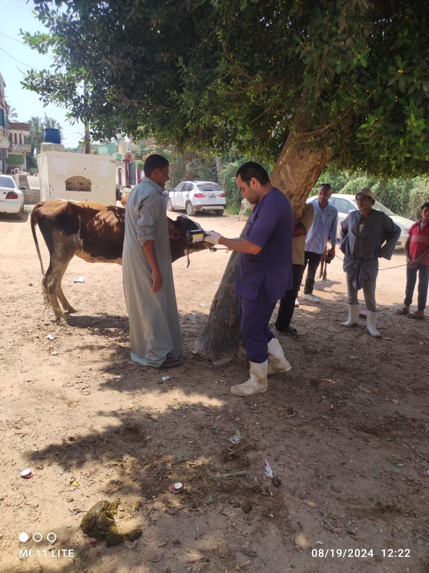 "الزراعة" تطلق قافلة بيطرية مجانية إرشادية لحماية الثروة الحيوانية بمحافظة الإسماعيلية