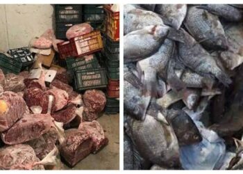 الخدمات البيطرية: ضبط أكثر من 178 طن لحوم وأسماك غير صالحة للاستهلاك خلال شهر اغسطس