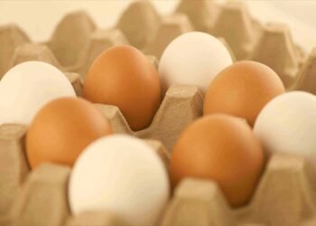 شعبة بيض المائدة: المزارع تجرى مزاداً على البيض.. ونترقب ارتفاع جديد في الأسعار