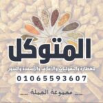 متوكل سوهاج