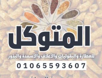 متوكل سوهاج