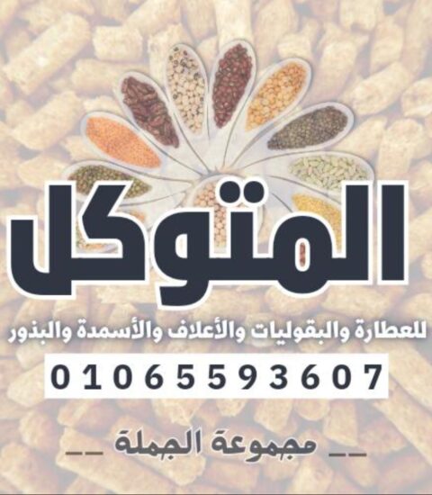 متوكل سوهاج