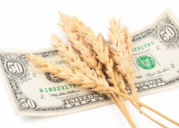 صفقة القمح الضخمة في مصر تخرج عن مسارها بسبب شروط السداد