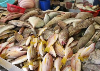 أسعار السمك اليوم الأحد بسوق العبور للجملة