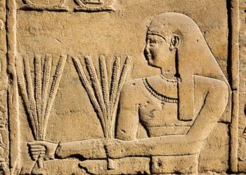 مصر تعتزم شراء إمدادات القمح مع انخفاض الأسعار العالمية بشكل حاد