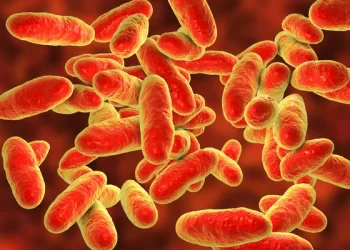 صورة ثلاثية الأبعاد لبكتيريا الإيروموناس