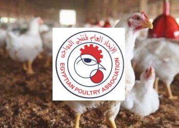 عاجل| وزير الزراعة: يعيين 9 أعضاء بمجلس إدارة اتحاد منتجى الدواجن لمدة 4 سنوات