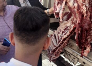 بأسعار مخفضة.. "الزراعة" تطلق ٧ منافذ متحركة لبيع منتجاتها للعاملين بالعاصمة الادارية