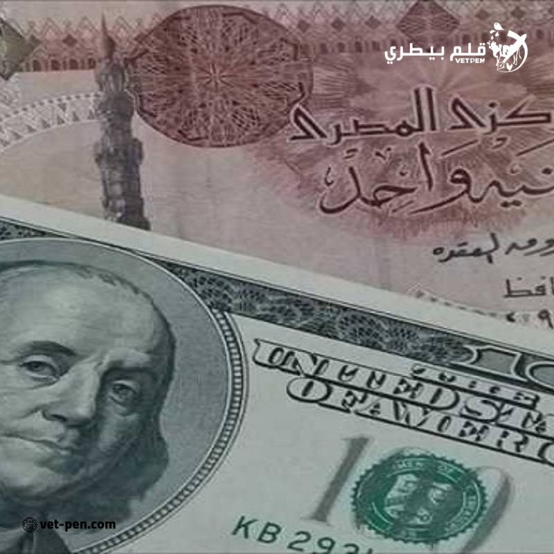 سعر الدولار والعملات العربية والأجنبية اليوم الأحد 5- 9- 2024