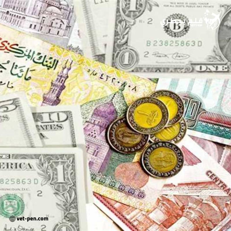 سعر الدولار والعملات العربية والأجنبية اليوم الإثنين 9- 9- 2024