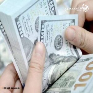 سعر الدولار والعملات العربية والأجنبية اليوم الأربعاء 11- 9- 2024