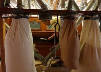 مطاحن ومخابز شمال القاهرة تسجل نموا بنسبة 54% خلال يوليو الماضي