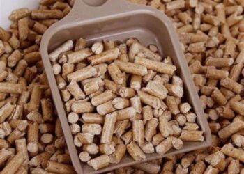 سنطة للأعلاف يكشف حقيقة الوضع في سوق العلف والخامات الحالي وينصح بعدم التخزين