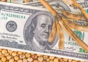 العقود الآجلة لفول الصويا