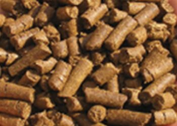 الغذاء والدواء أعلاف علف