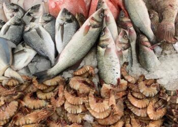 البلطي والبوري والجمبري.. أسعار السمك اليوم الأحد بسوق العبور للجملة