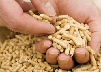 «زراعة الشيوخ» تجتمع اليوم لاستئناف مناقشة التوسع في توطين صناعة الأعلاف بمصر